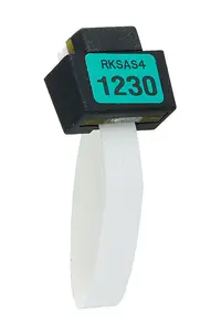 030-2755-001 - HP Intel RkSAS4 Storage Key