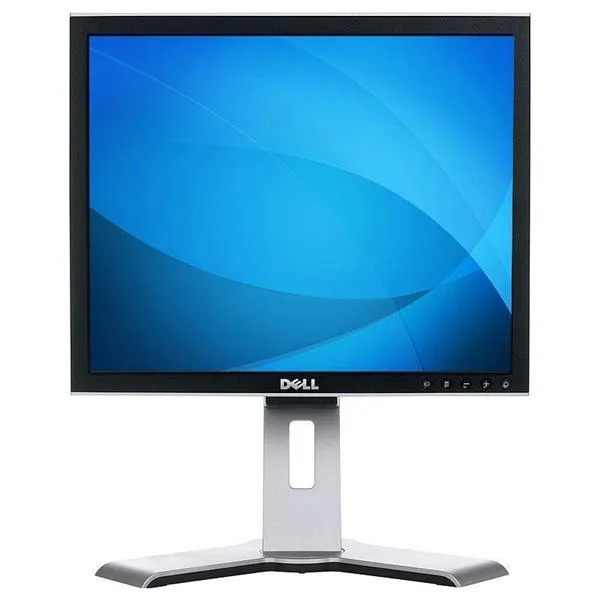 1907FPC - Dell 19-Inch Flat LCD Monitor