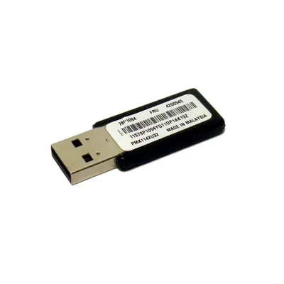 42D0545 - IBM Flash Memory for ThinkServer RD220 (Type 3798)