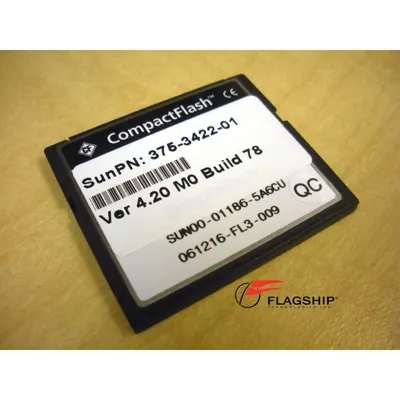 540-6854 - Sun Programmed Compact Flash (256MB) Card for Sun StorageTek 5320 RoHS Y