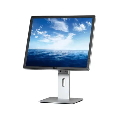 619GM - Dell Professional P1914S (1280 x 1024) Resolution LED LCD Monitor