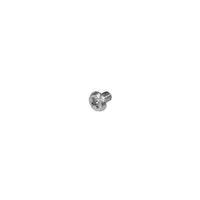 922-6681 - Apple Hard Drive Side Screw for Mac Mini