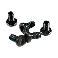 922-9539 - Apple 3.6mm Torx T6 Screw for MacBook Pro 17