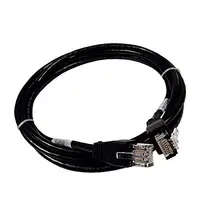 95P2819 - IBM 100ft Ethernet Cable