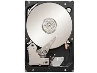 9Z1066-004 - Seagate Cheetah 15K.5 300GB 15000RPM SAS 3Gb/s 16MB Cache 3.5-inch Hard Drive