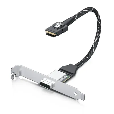 AXXCBL730MSMS - Intel 730mm Straight SFF-8087 to SFF-8087 Connector