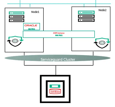 BB098AC - HP Serviceguard for Linux Enterprise Flexible Upgrade License 1 Socket