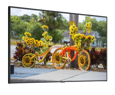 C551 - NEC 55 Full HD Commercial LED Display