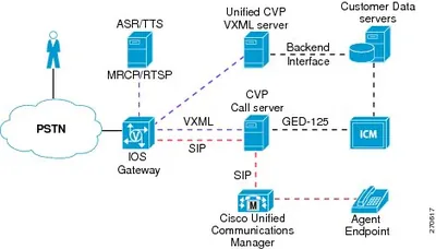 CVP-AD-SRVR - Cisco Unified Customer Voice Portal Audium Server with Media License 1 Server