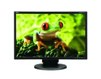 EA241WM-BK - NEC MultiSync 24-inch Widescreen LCD Monitor with Speaker