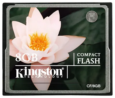 Kingston KTN-VS/8 8MB Flash Memory Card