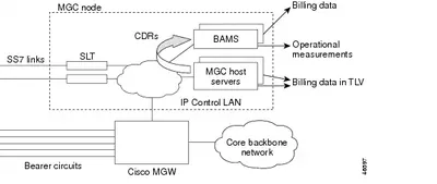 MGC-BAMS-RTU - Cisco Billing and Measurements Server License 1 User(s) Standard License