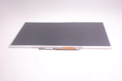N876G - Dell 15.4-inch (1280 x 800) WXGA LCD Panel