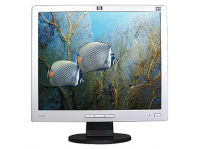 HP PX850A8#ABA L1906 19-inch LCD Monitor