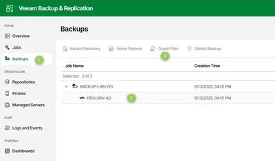 R0F03AAE - HP Veeam Backup & Replication Enterprise + 1 Year 8x5 Support License 1 CPU Socket OEM