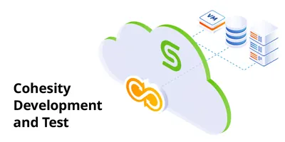 R4V86AAE - HP Cohesity Agile Development and Test Software Subscription and Support 1 TB Capacity 5Year