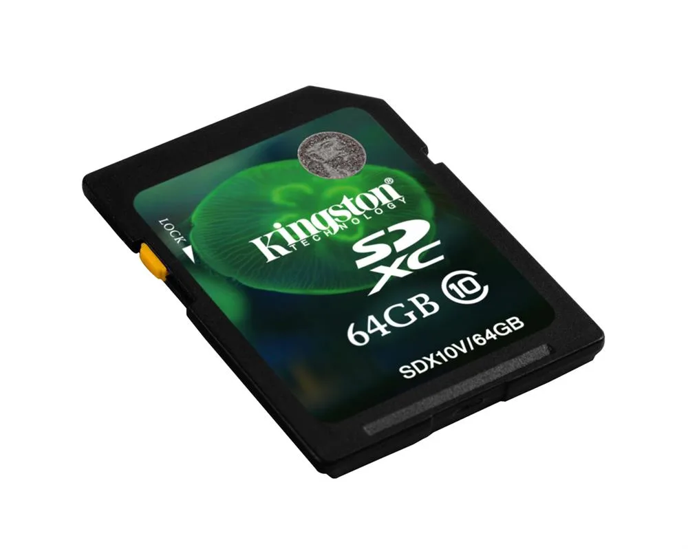 Kingston SDX10V/64GBCR 64GB Class 10 SDXC UHS-I Flash Memory Card