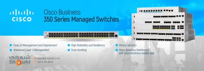 SF-WP136-100 - Cisco Websense Enterprise Premium Group I Maintenance 100 User 3Year