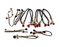 XI2-P1-C6-T1 - IBM 11ft HSSDC2-HSSDC2 FC-AL Cable